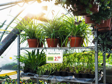 Durable Water Resistant Pocket Half-Letter 5.5" x 8.5" | 5 Pack