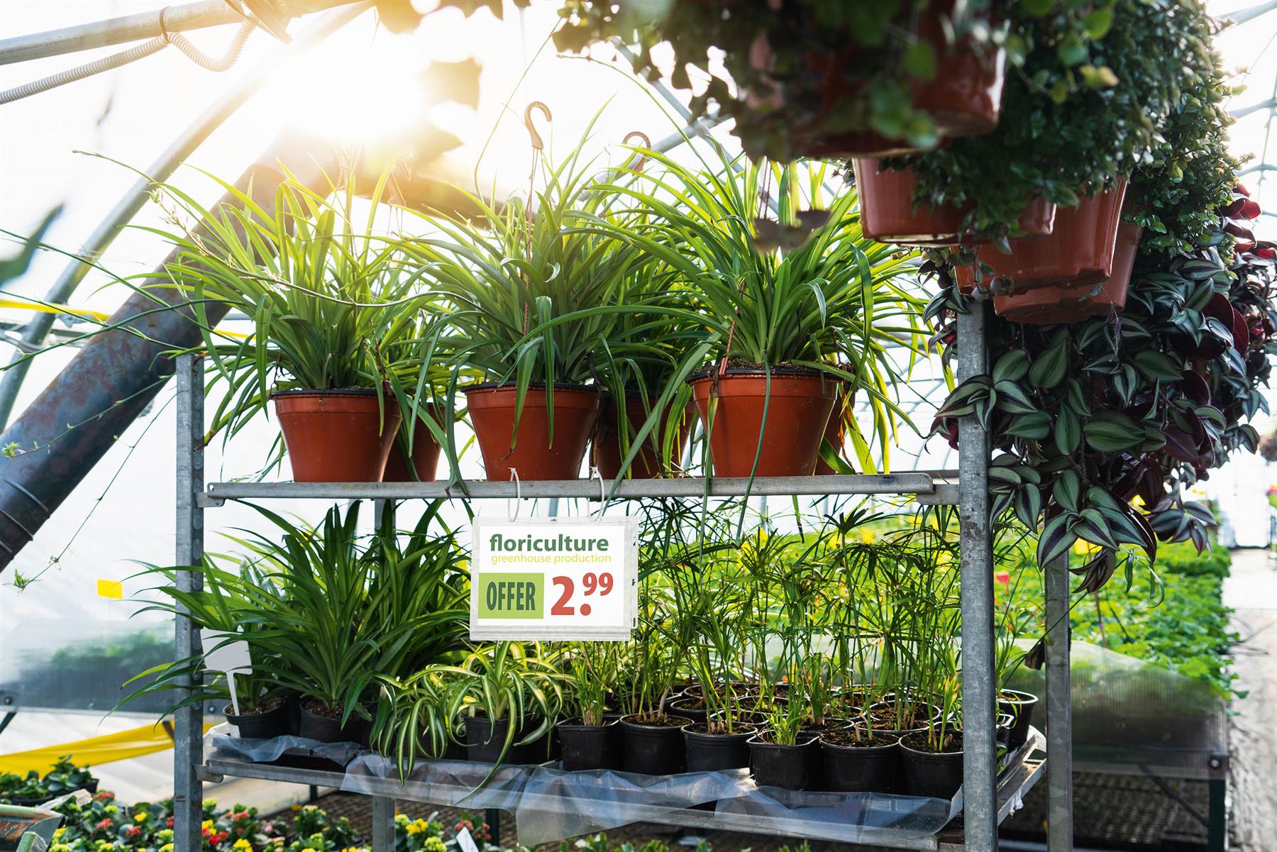 Durable Water Resistant UV Anti-Reflective Cable Tie Pockets | 5 Pack | Half Letter Size Clear