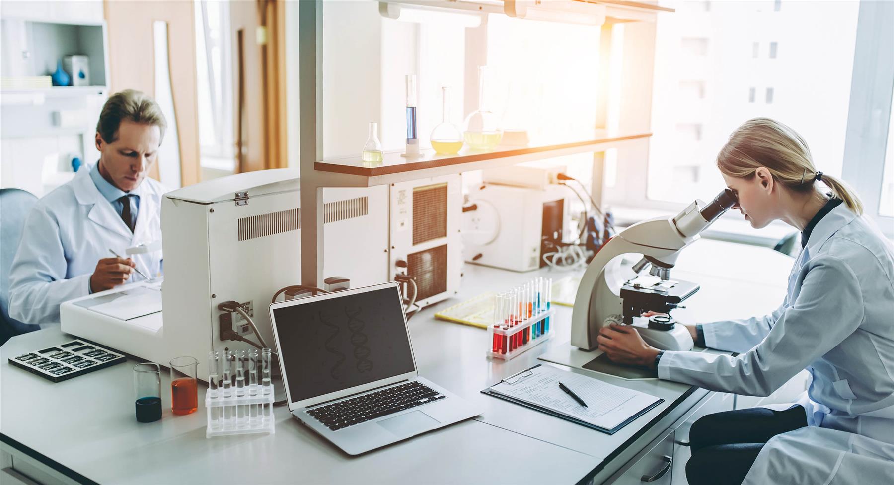 Durable Anti-glare Magnetic Privacy Filter with Blue Light Filter | 14.0"